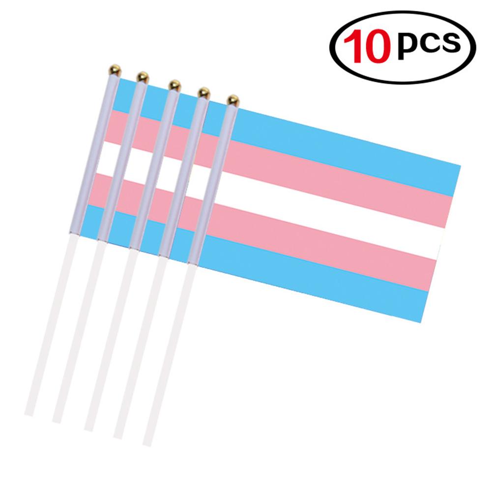 10PCS/Pack 14*21CM Gay Pride Flags Easy To Hold Mini Small Rainbow Flags With Flagpoles Home Decor Gay Friendly LGBT Flag