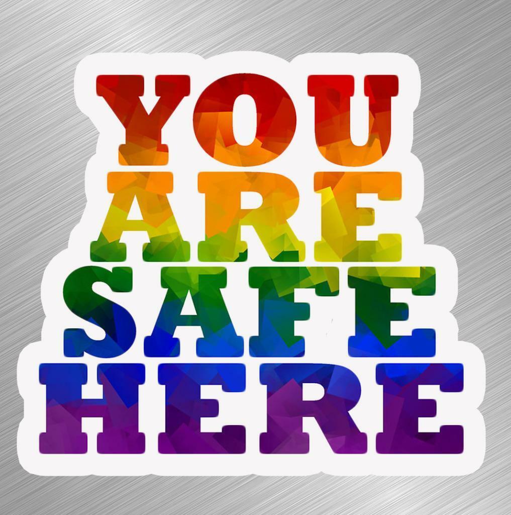 LGBTQ You Are Safe Vinyl Decal Sticker Car Cellphone Gay Pride Rainbow Business for Auto Moto Sport Start Racing Laptop Trunk